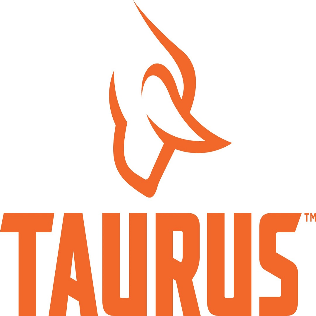 Taurus Holsters